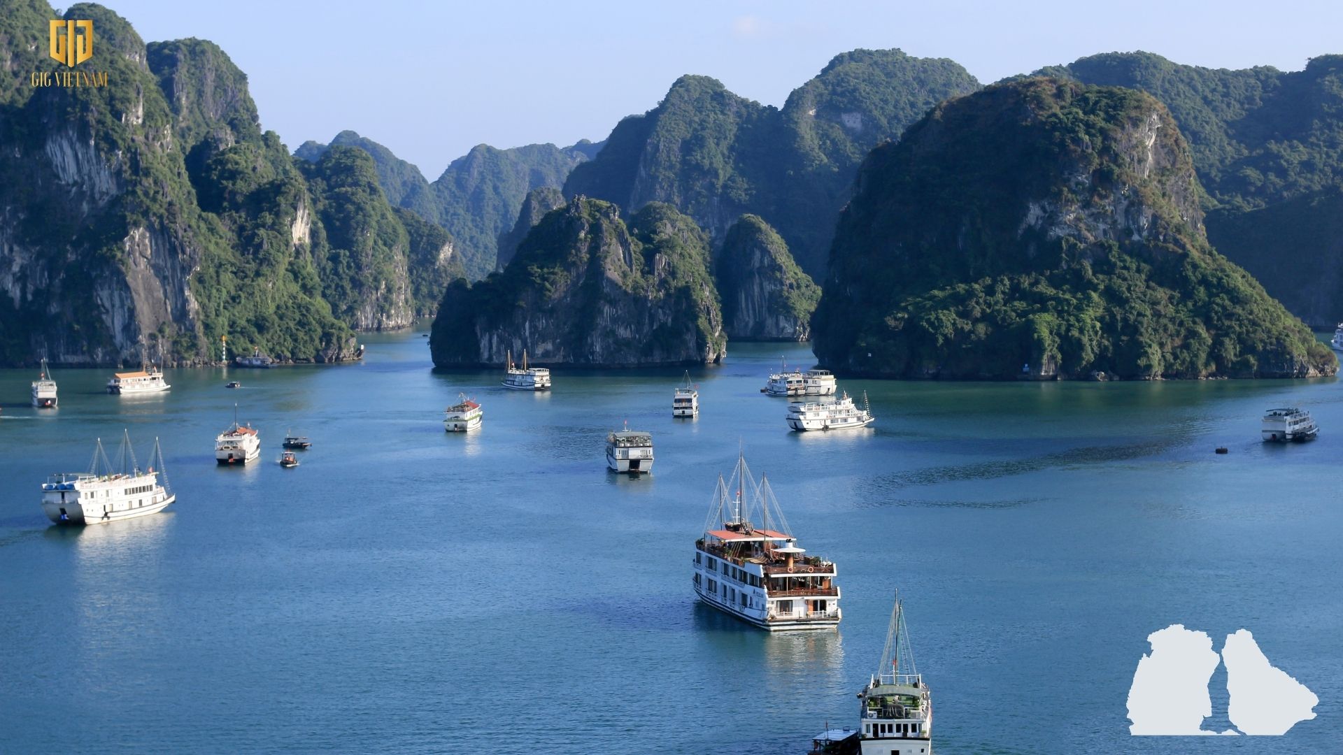 Tháng 6 nên đi du lịch ở đâu? Top 10 các tour du lịch tháng 6 hàng đầu Việt Nam - Vịnh Hạ Long